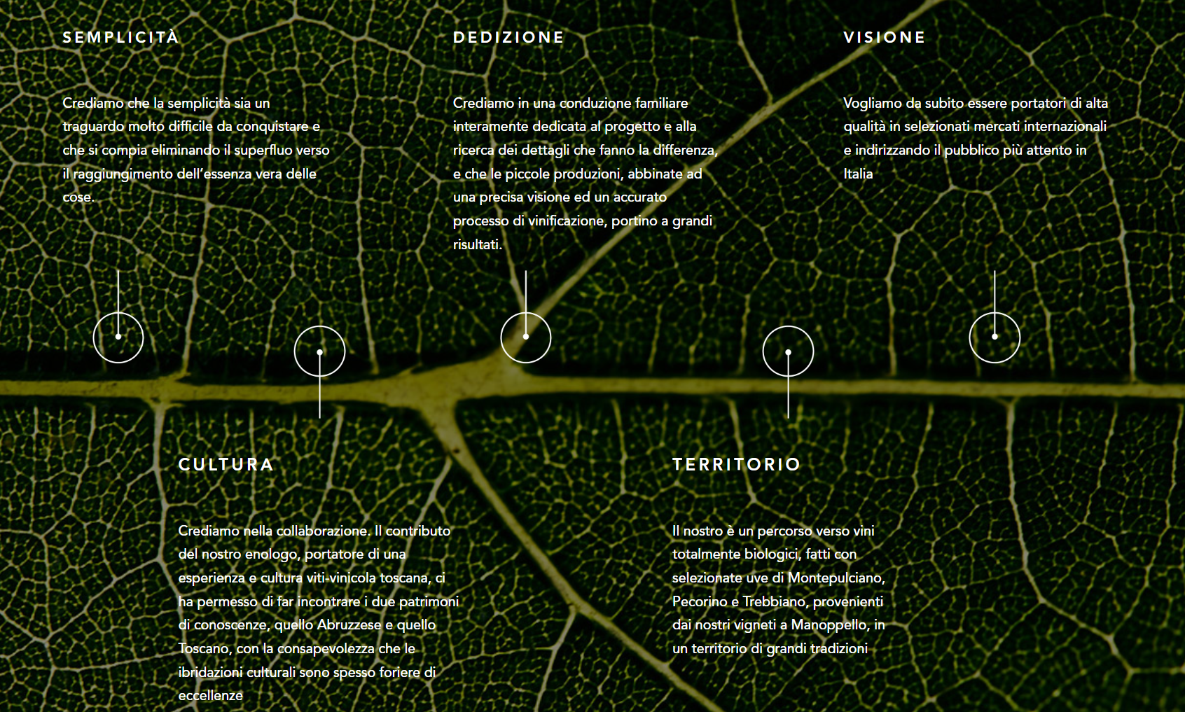 Progetto Montali vini patrizio montali